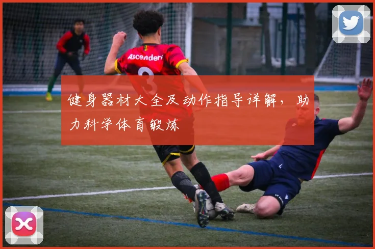 健身器材大全及动作指导详解，助力科学体育锻炼