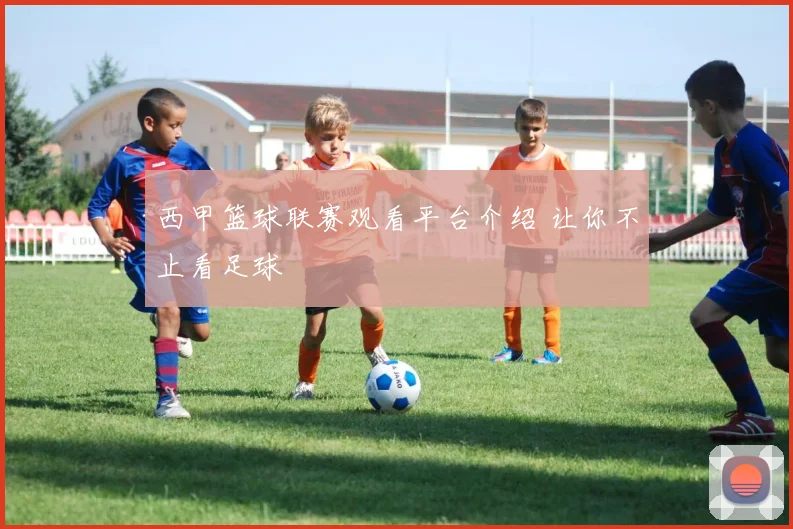 西甲篮球联赛观看平台介绍 让你不止看足球