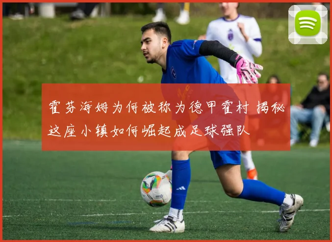 霍芬海姆为何被称为德甲霍村 揭秘这座小镇如何崛起成足球强队